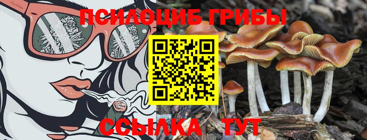 Галлюциногенные грибы мицелий  Вход с VPN  Печора 